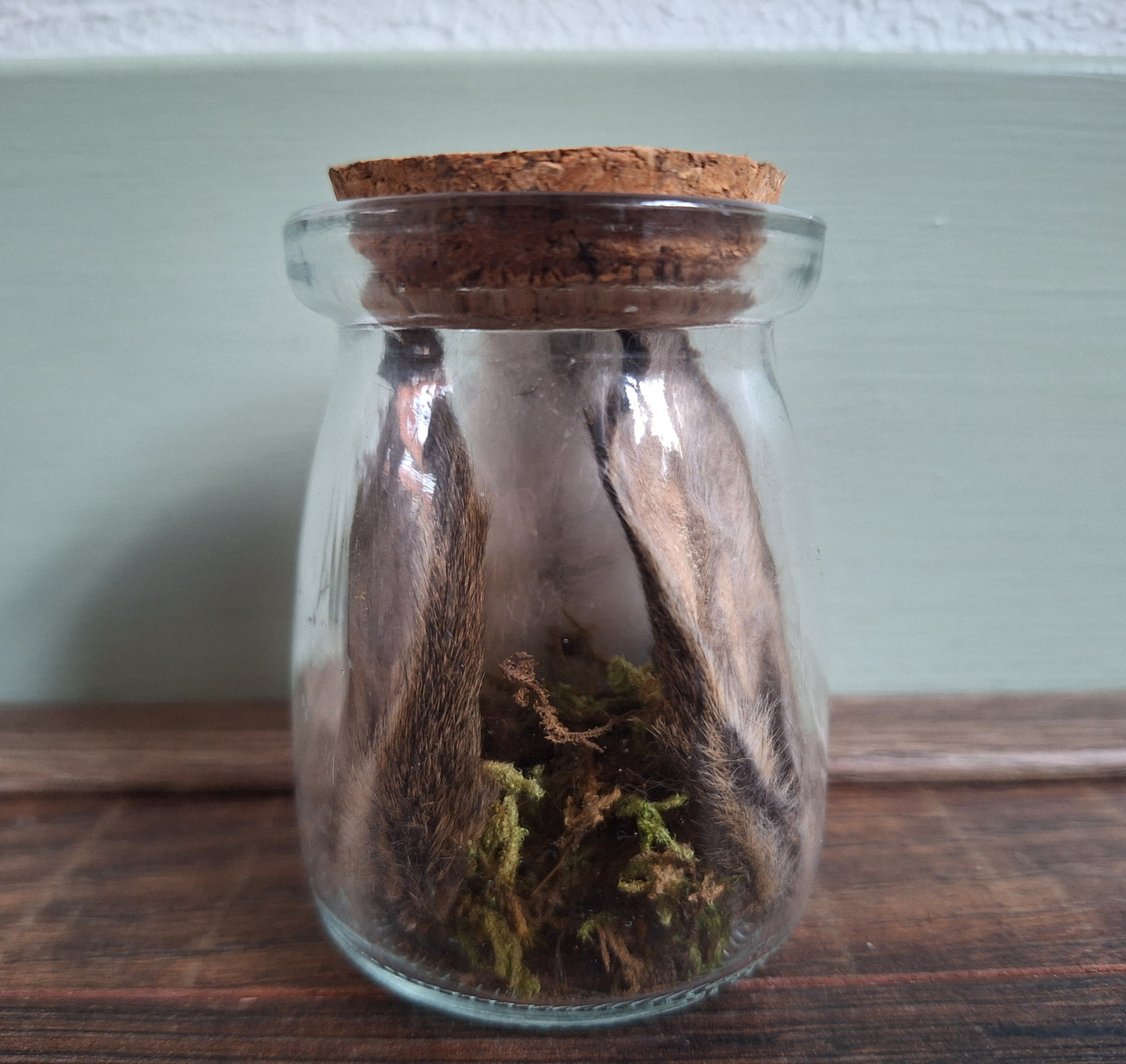 Rabbit ears and tail set in glass jar