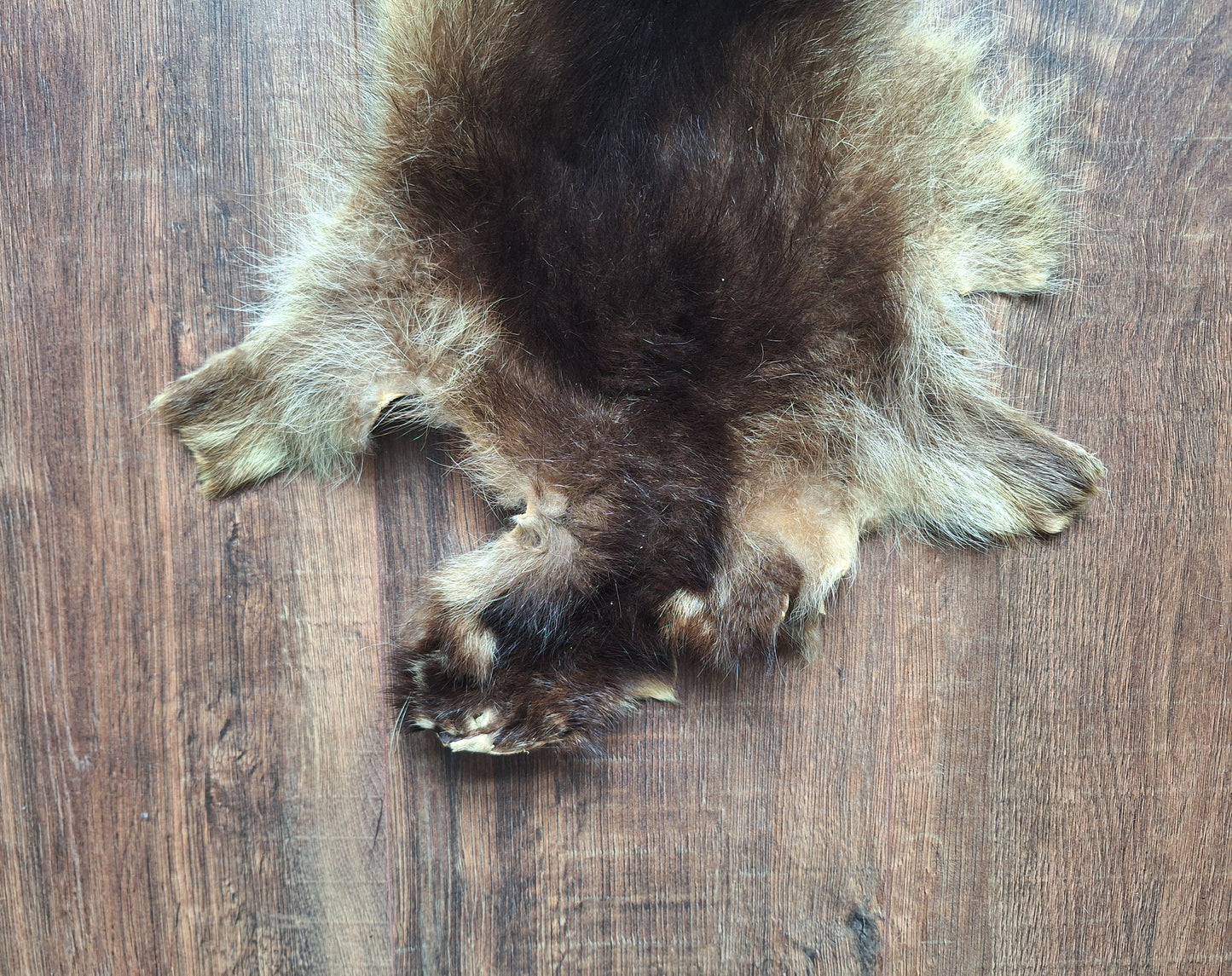 Raccoon dog hide, B-quality