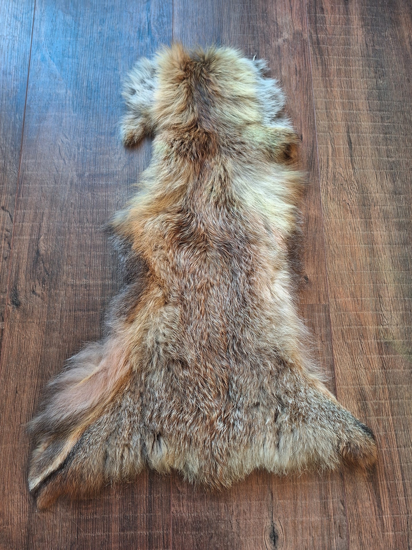 Red fox hide crafting piece