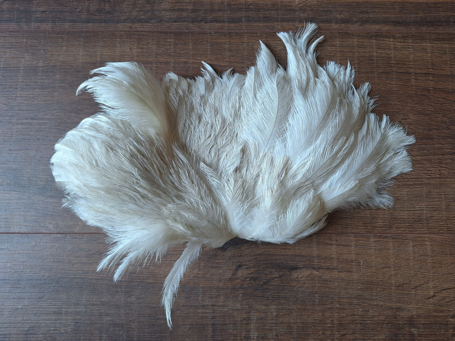 Nandu wing piece, small