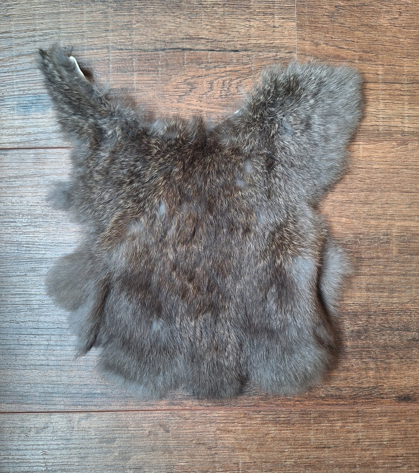 Rabbit hide #15