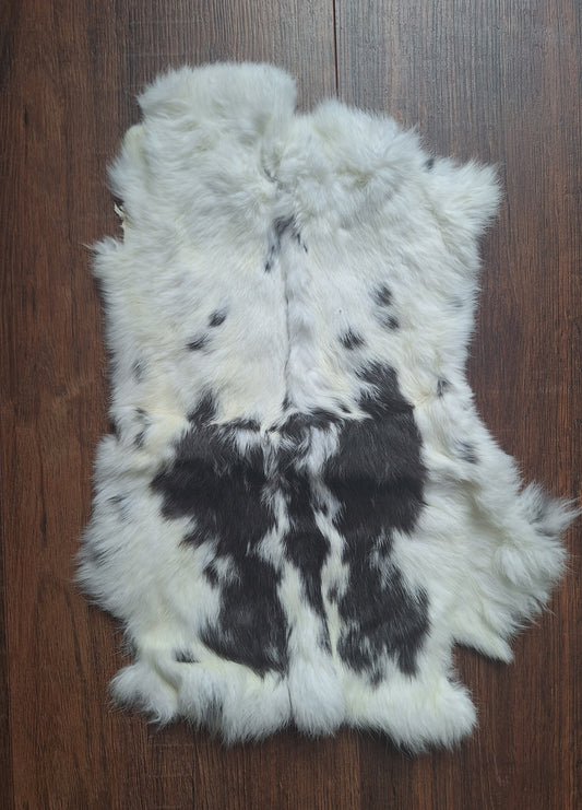 Rabbit hide #23