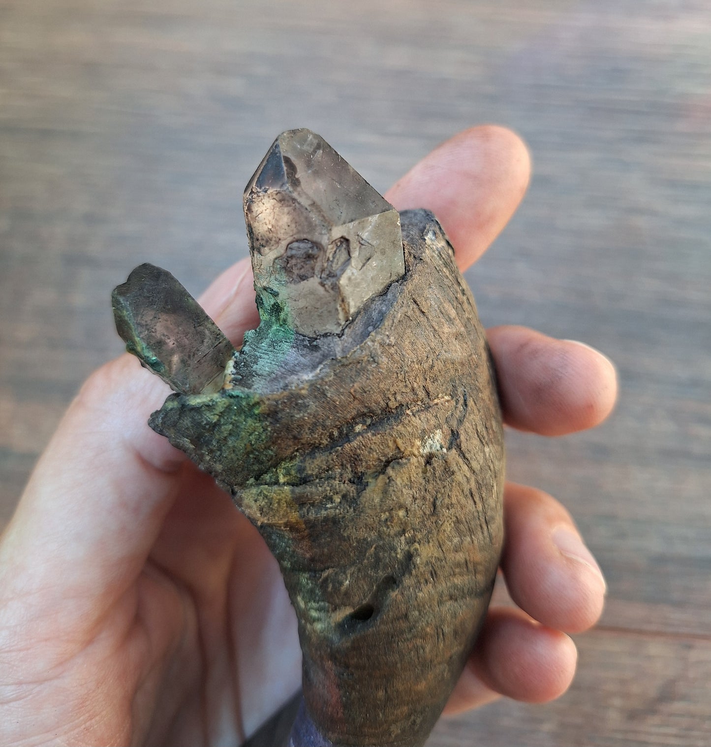 Old Nepalese shamanic horn stick #4