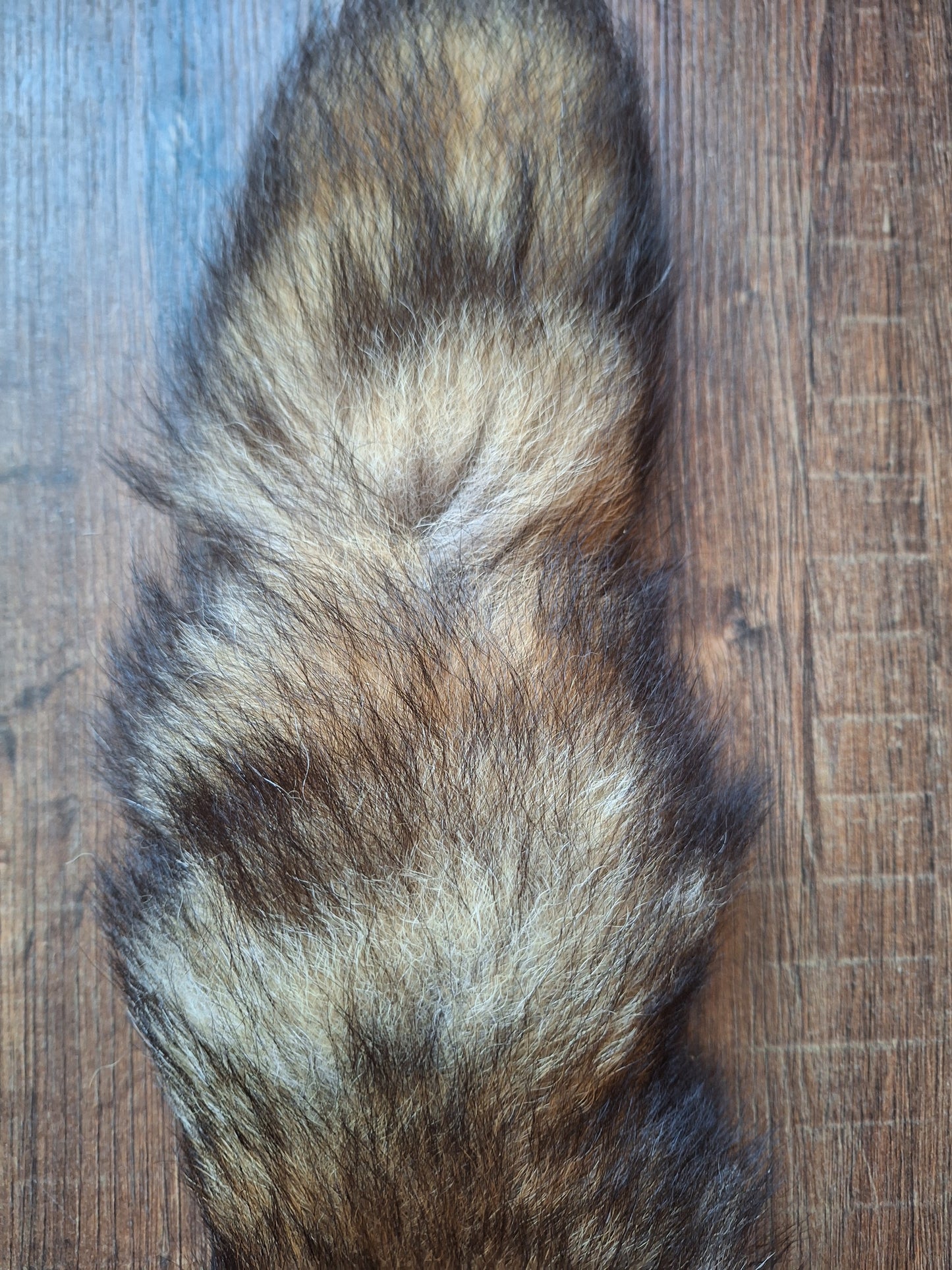 Red fox hide #22