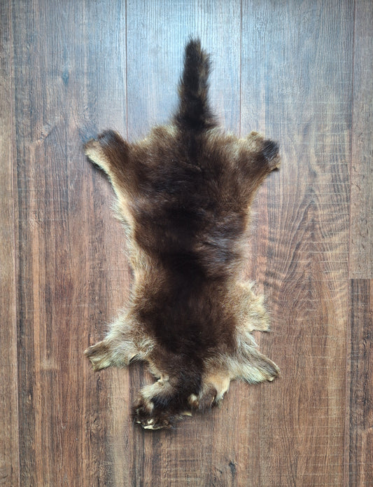 Raccoon dog hide, B-quality