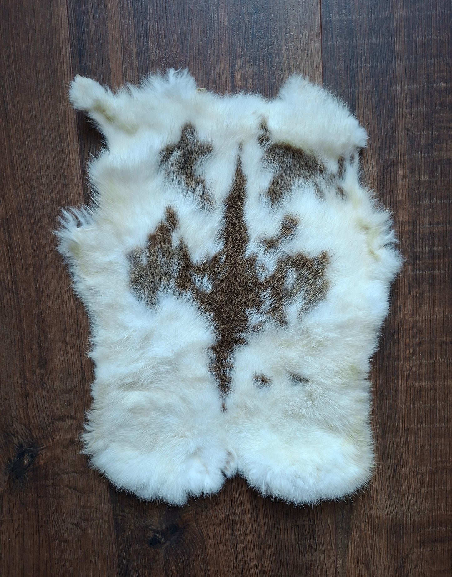 Rabbit hide #29