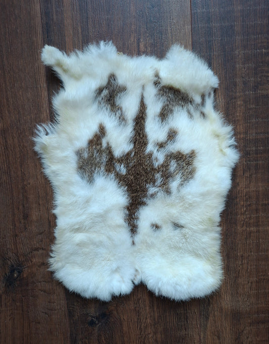Rabbit hide #29