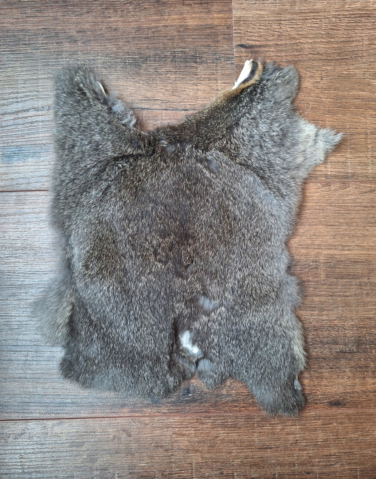Rabbit hide #18, B-quality