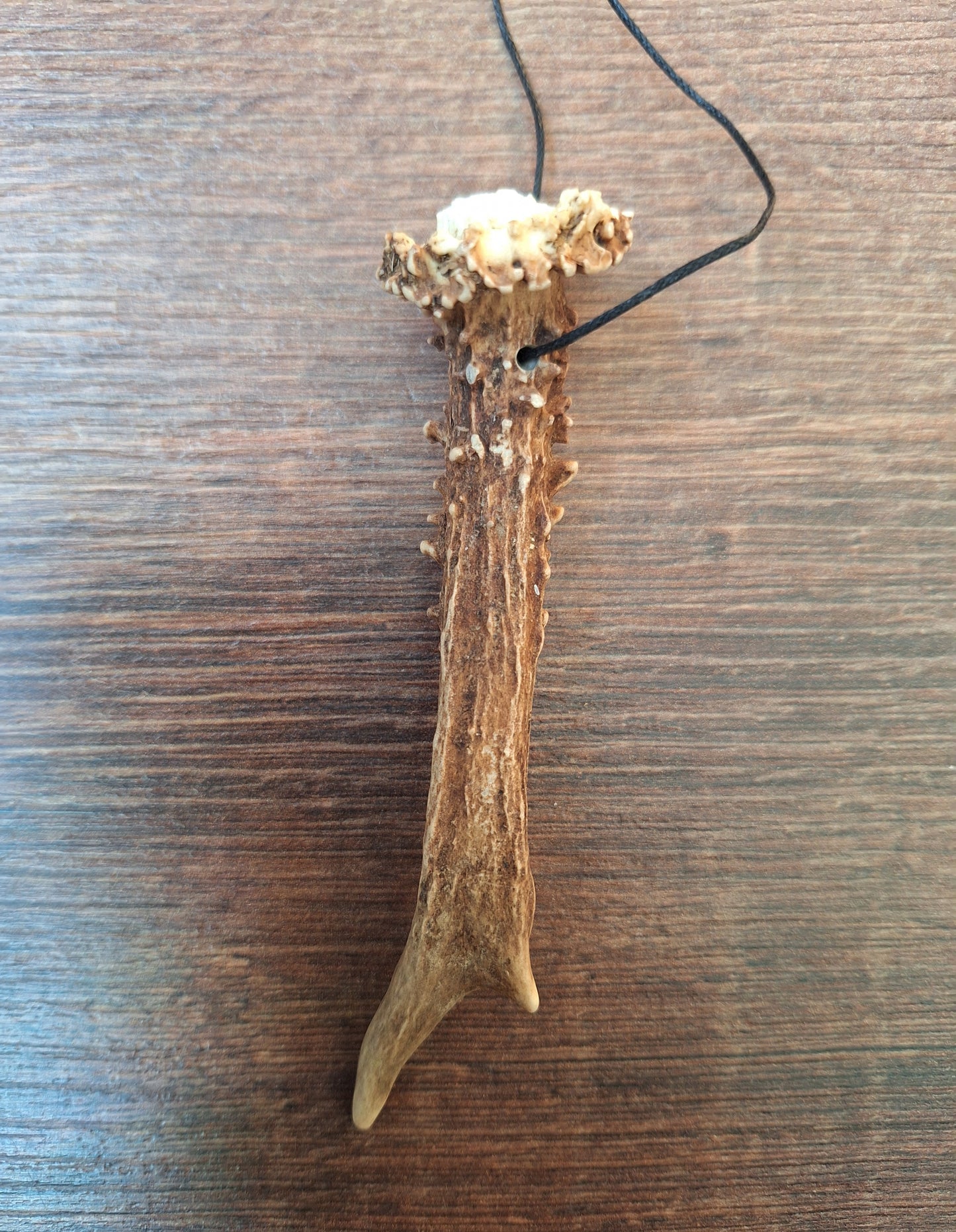 Roe deer antler necklaces