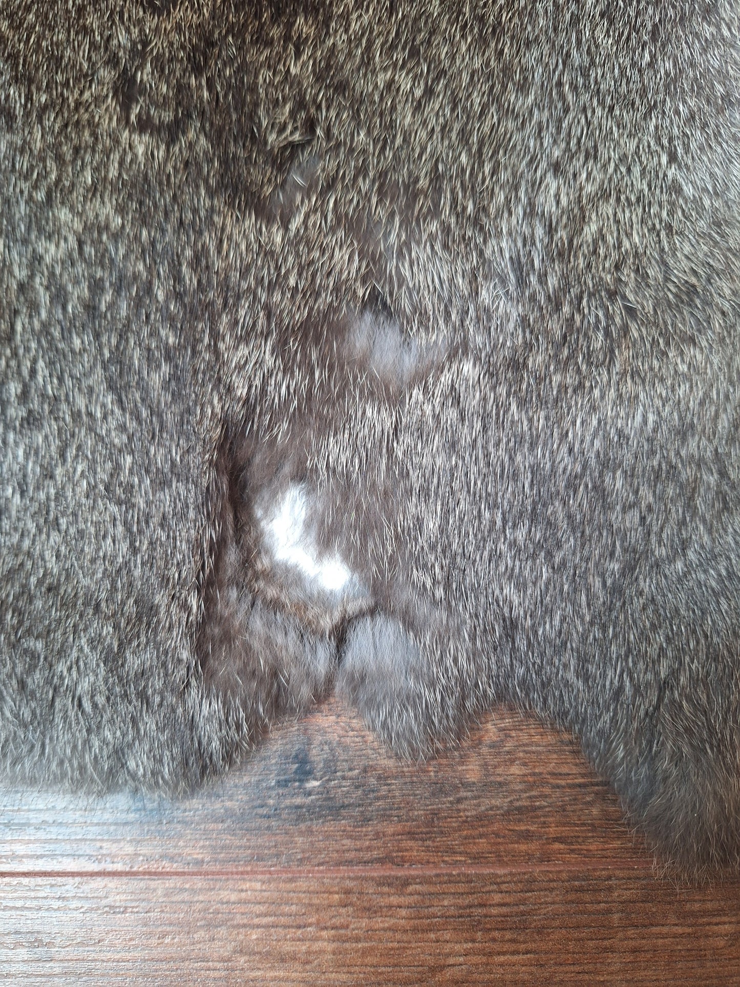 Rabbit hide #18, B-quality