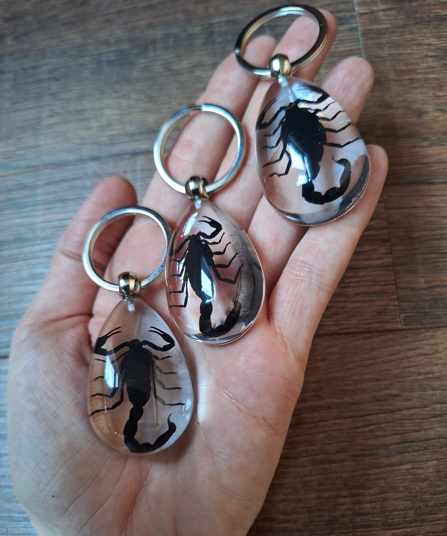 Scorpion in resin keychain