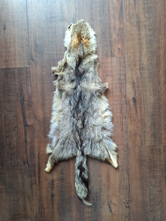 Cape fox hide #1