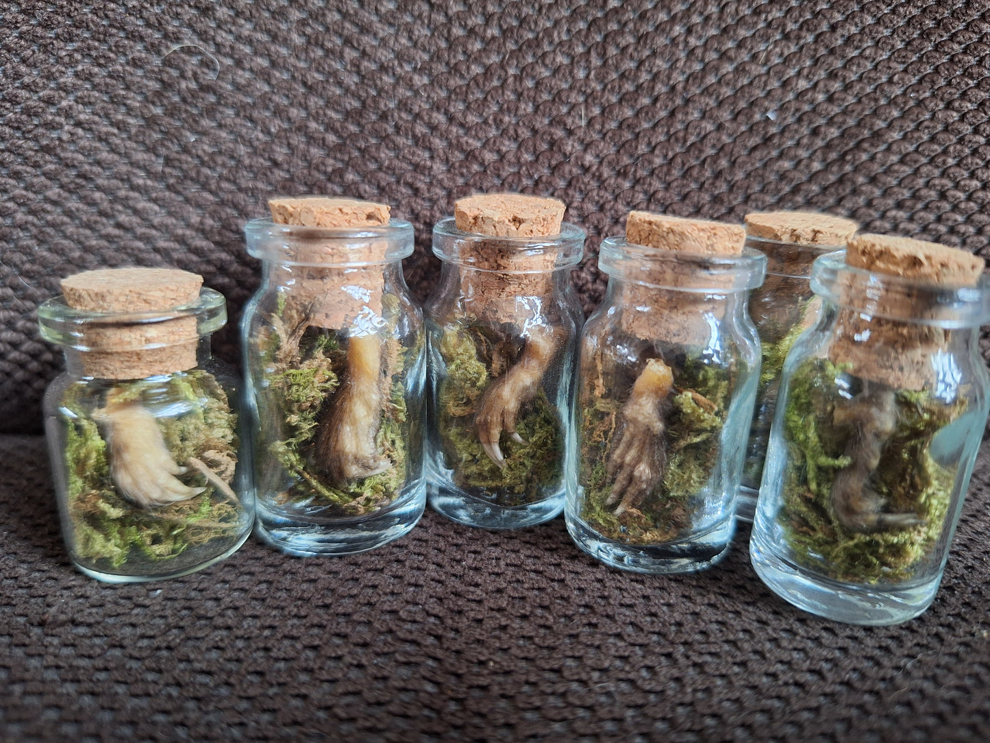 Mole paws bottle