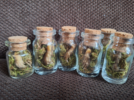 Mole paws bottle