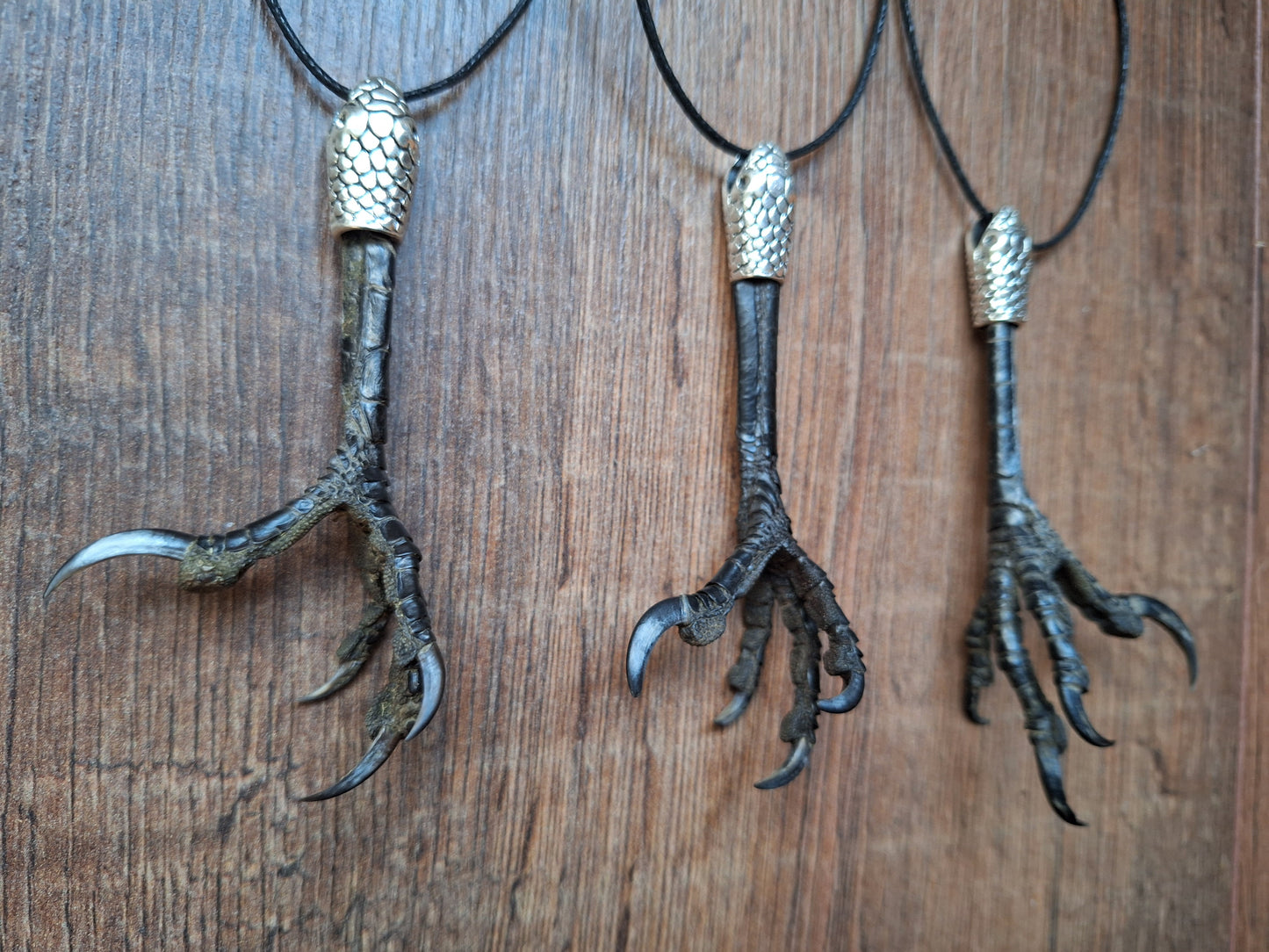Crow claw amulet necklace