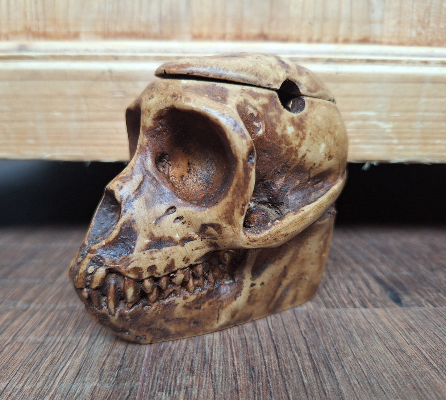 Resin monkey skull kapala