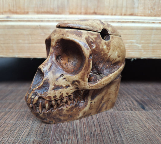 Resin monkey skull kapala