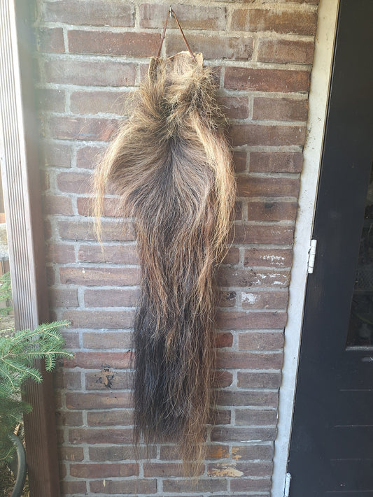 Horse tail #8, complete tail