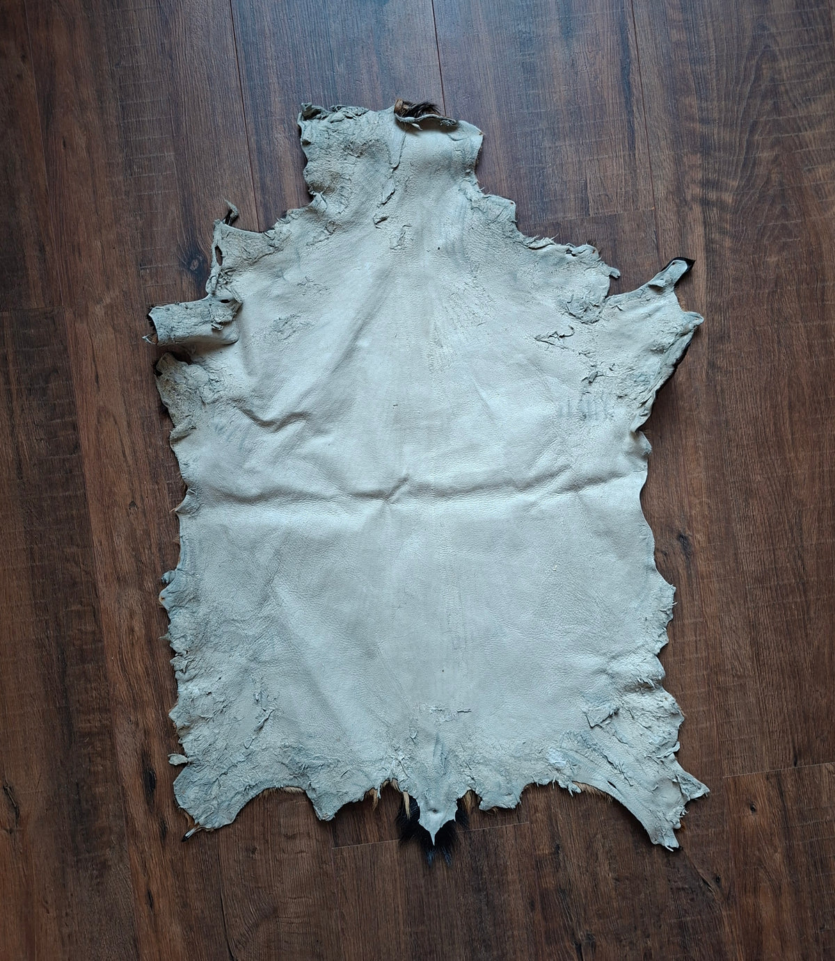Goat hide, B-quality