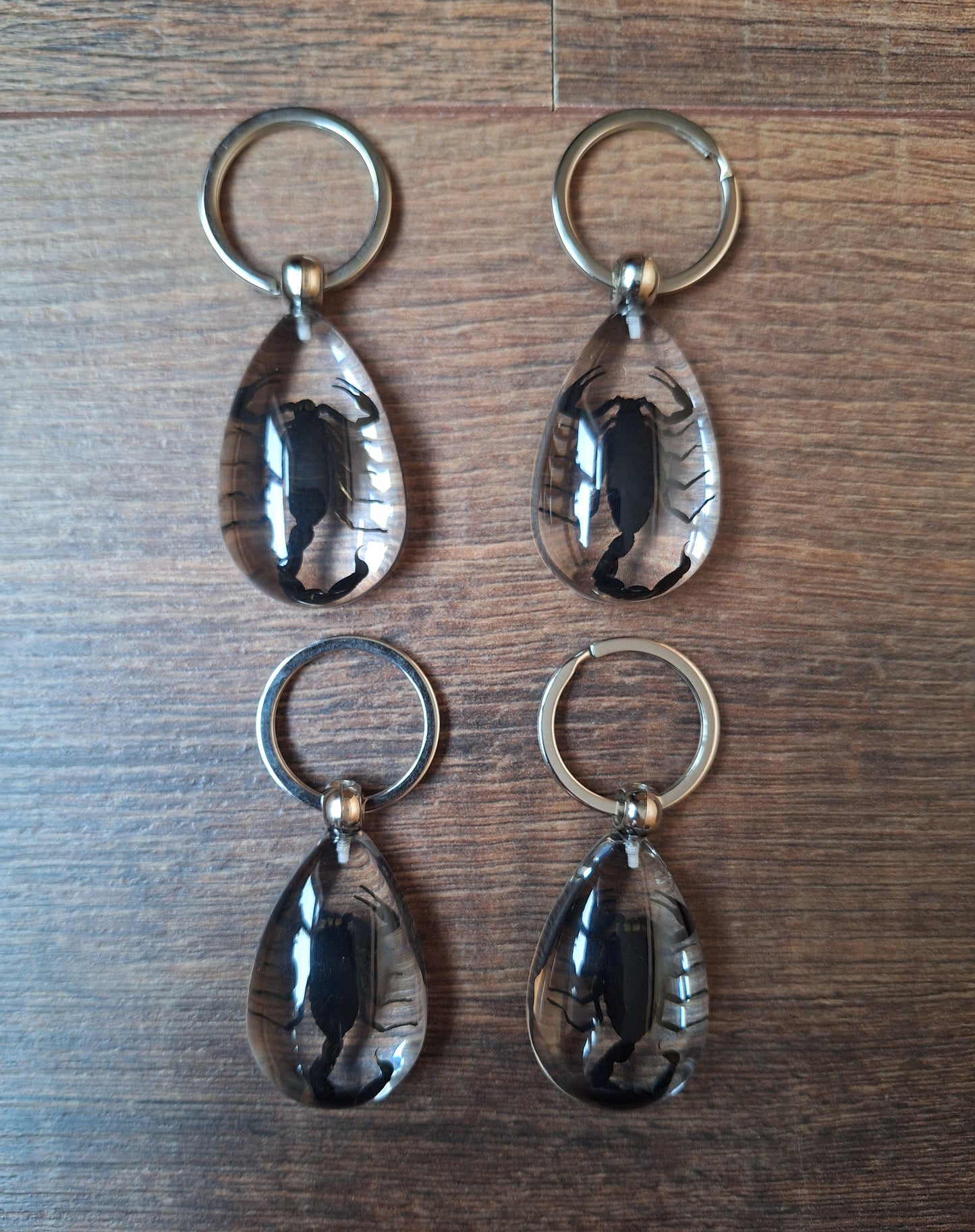 Scorpion in resin keychain