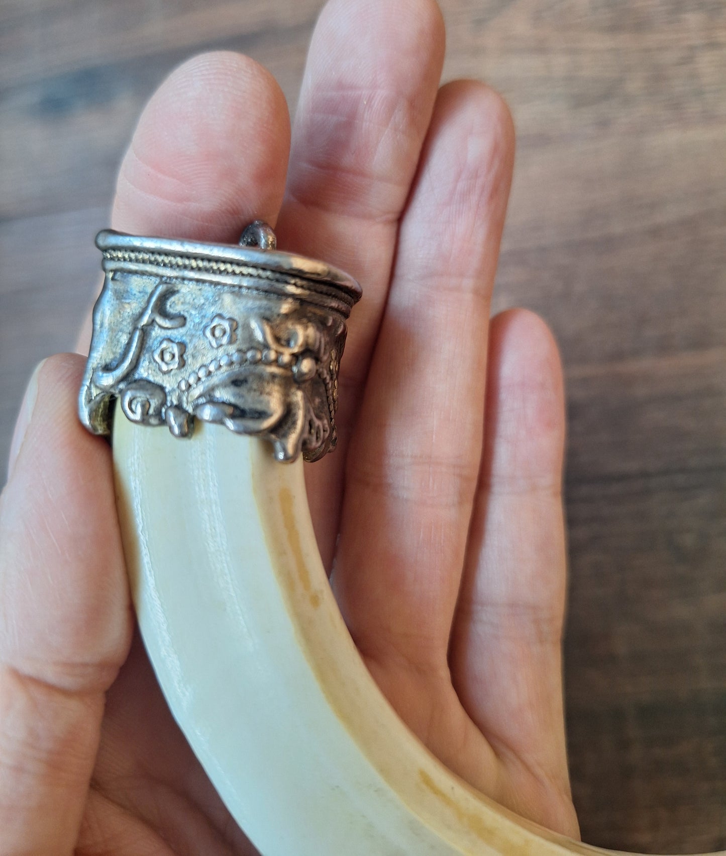 Vintage Nepalese wild boar tusk pendant