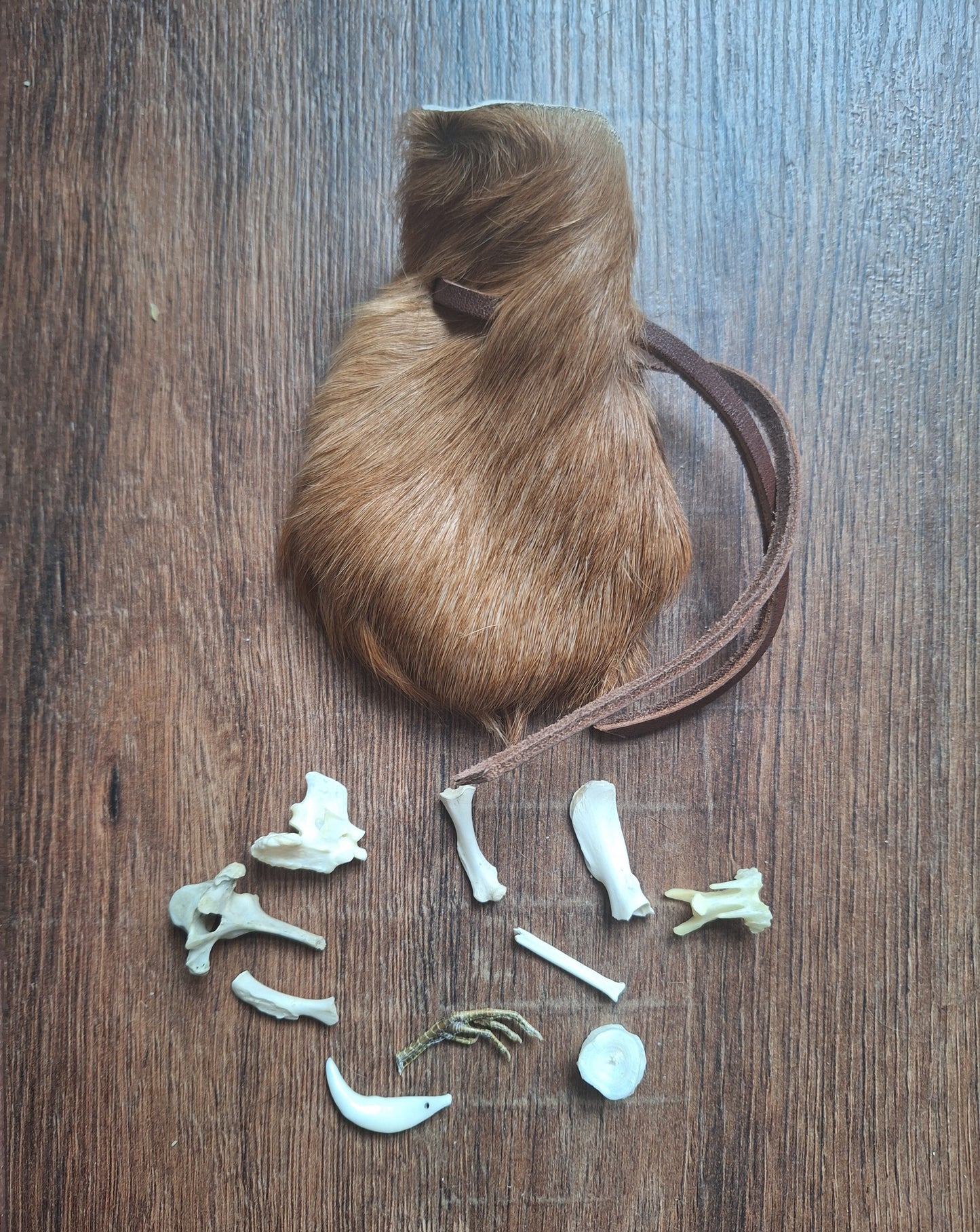 Witch oracle starter set, medium