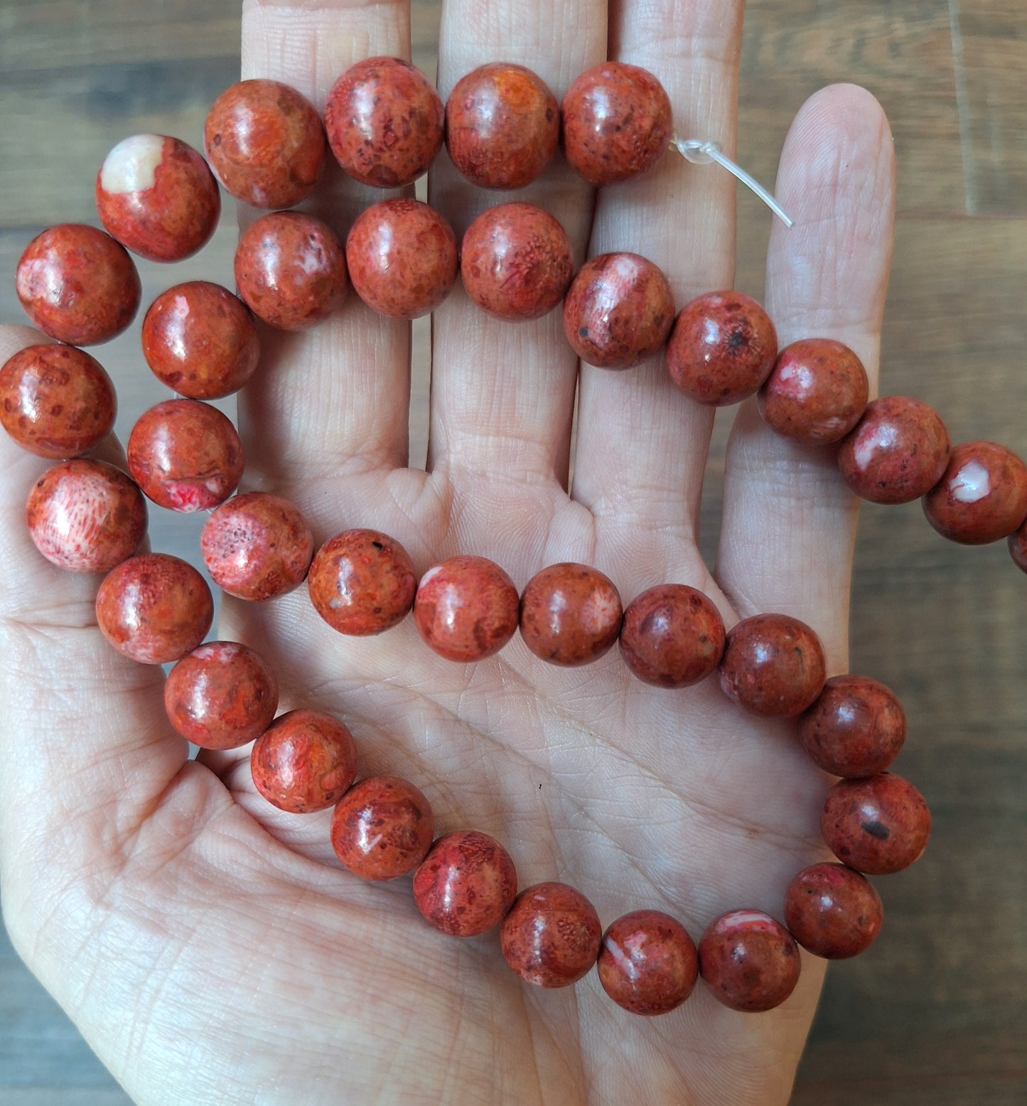 Sponge coral bead strand