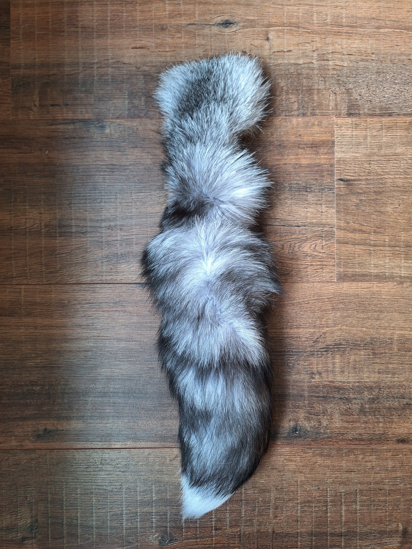 Painted silverfox tails