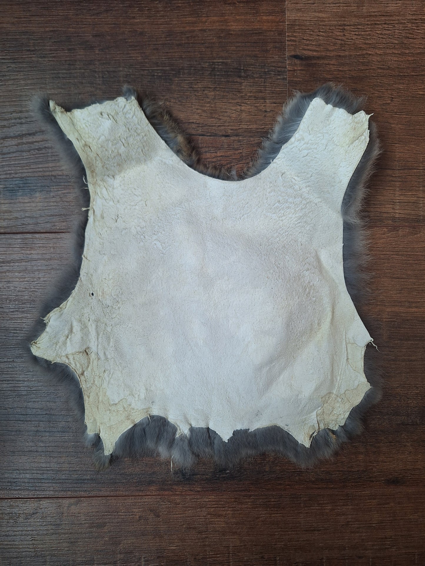 Rabbit hide #17