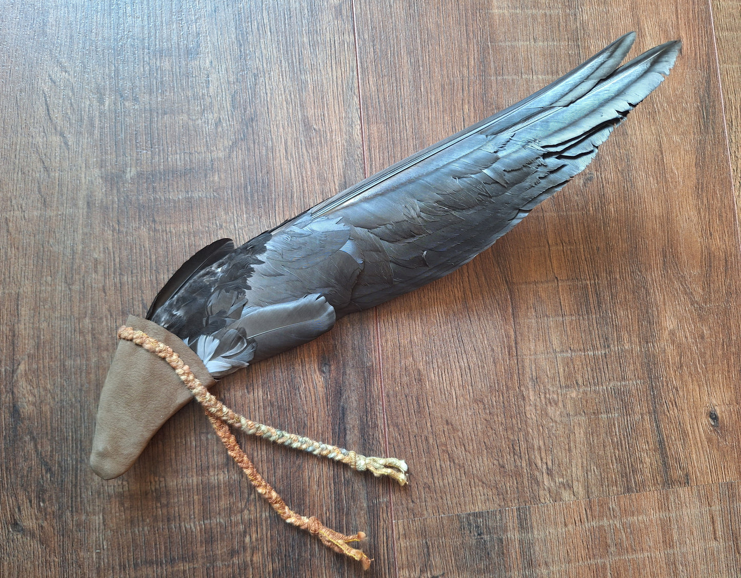 Barnacle goose wing fan