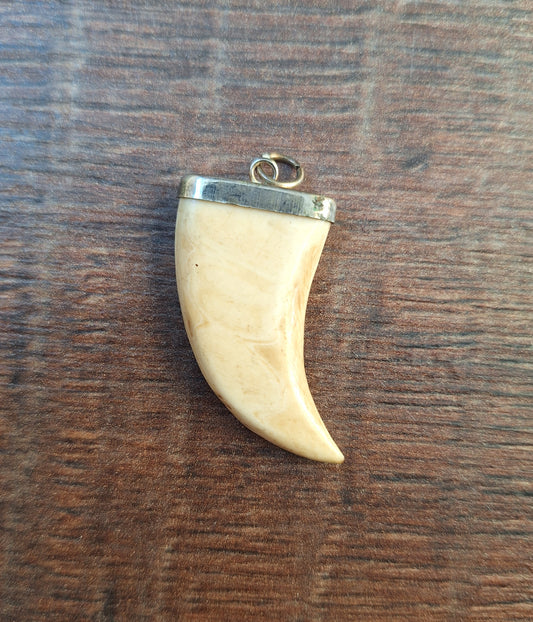 Vintage Tibetan silver and conch shell pendant Tooth