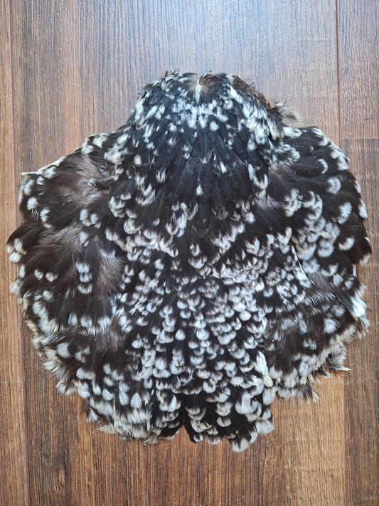 Chicken skin