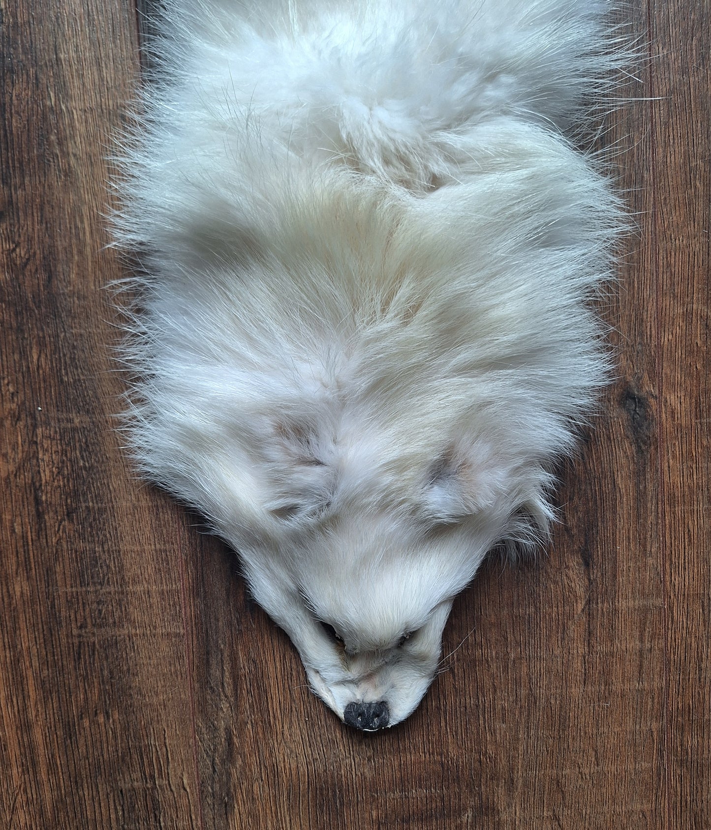 Polar fox hide