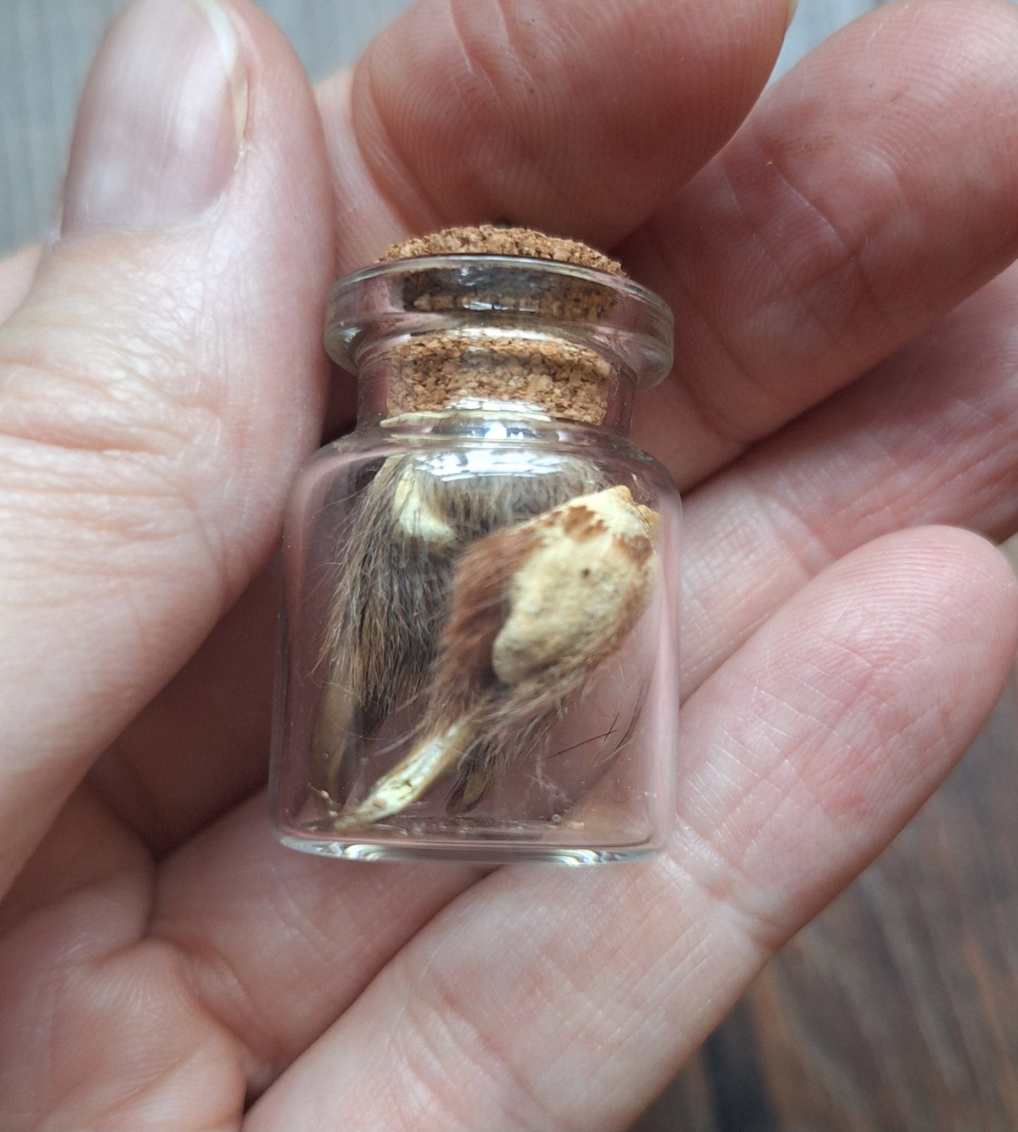 Fox nails bottle