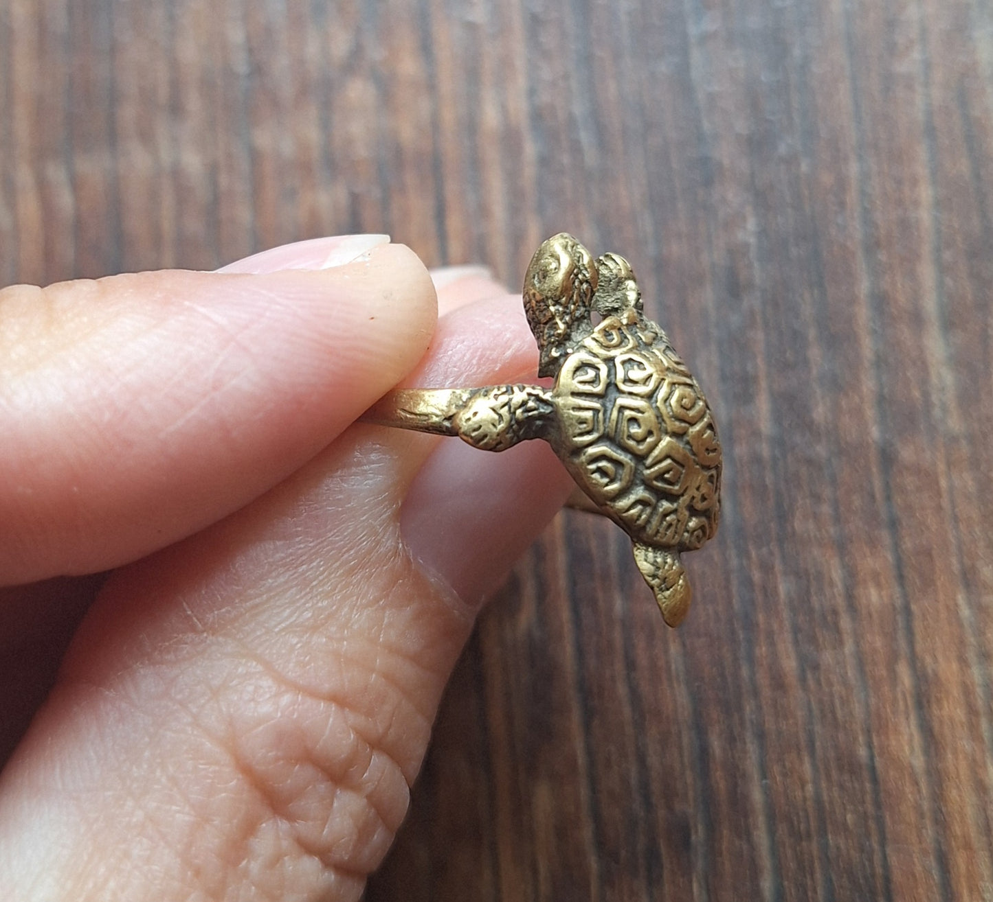 Brass ring Turtle