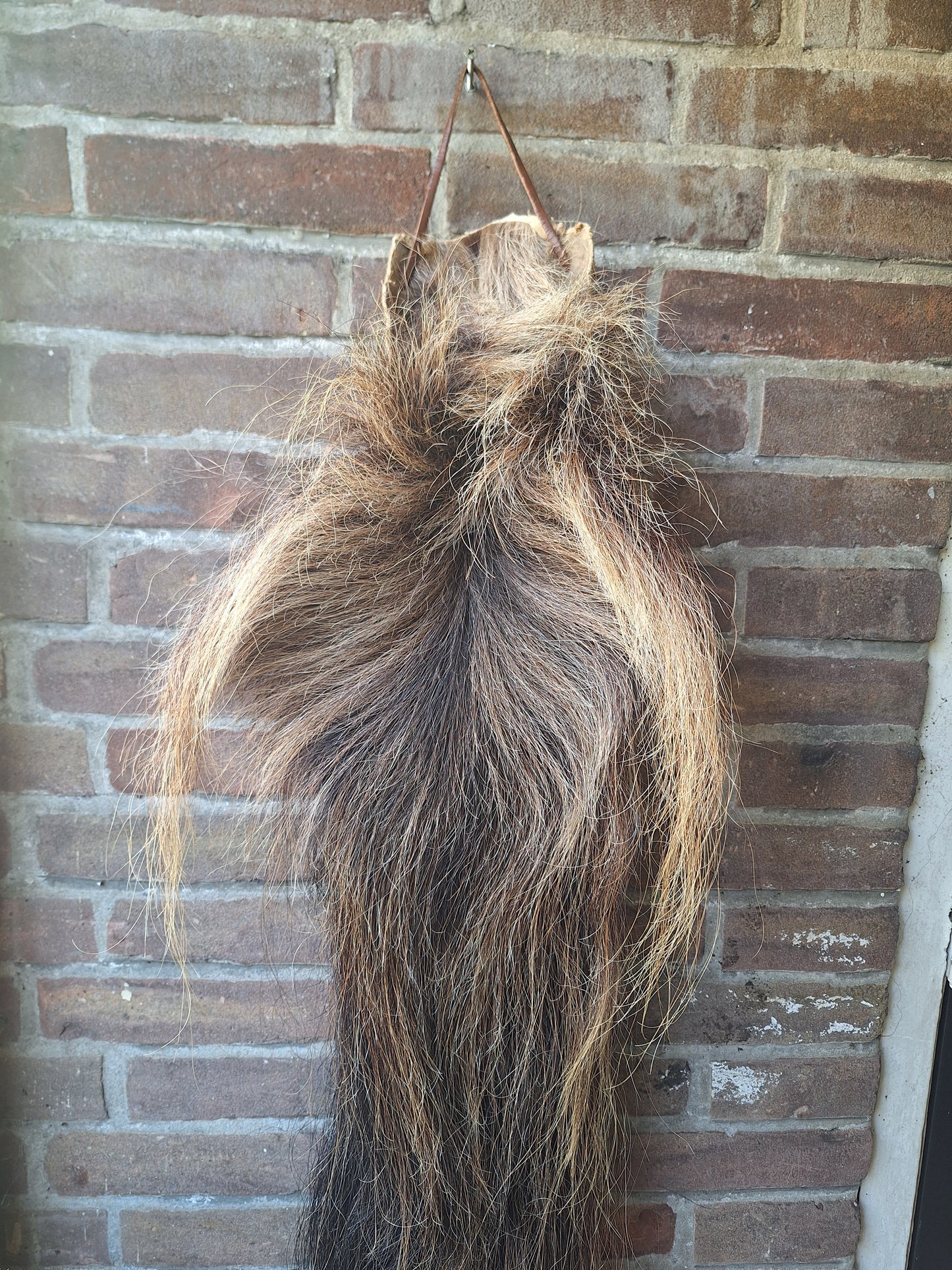 Horse tail #8, complete tail