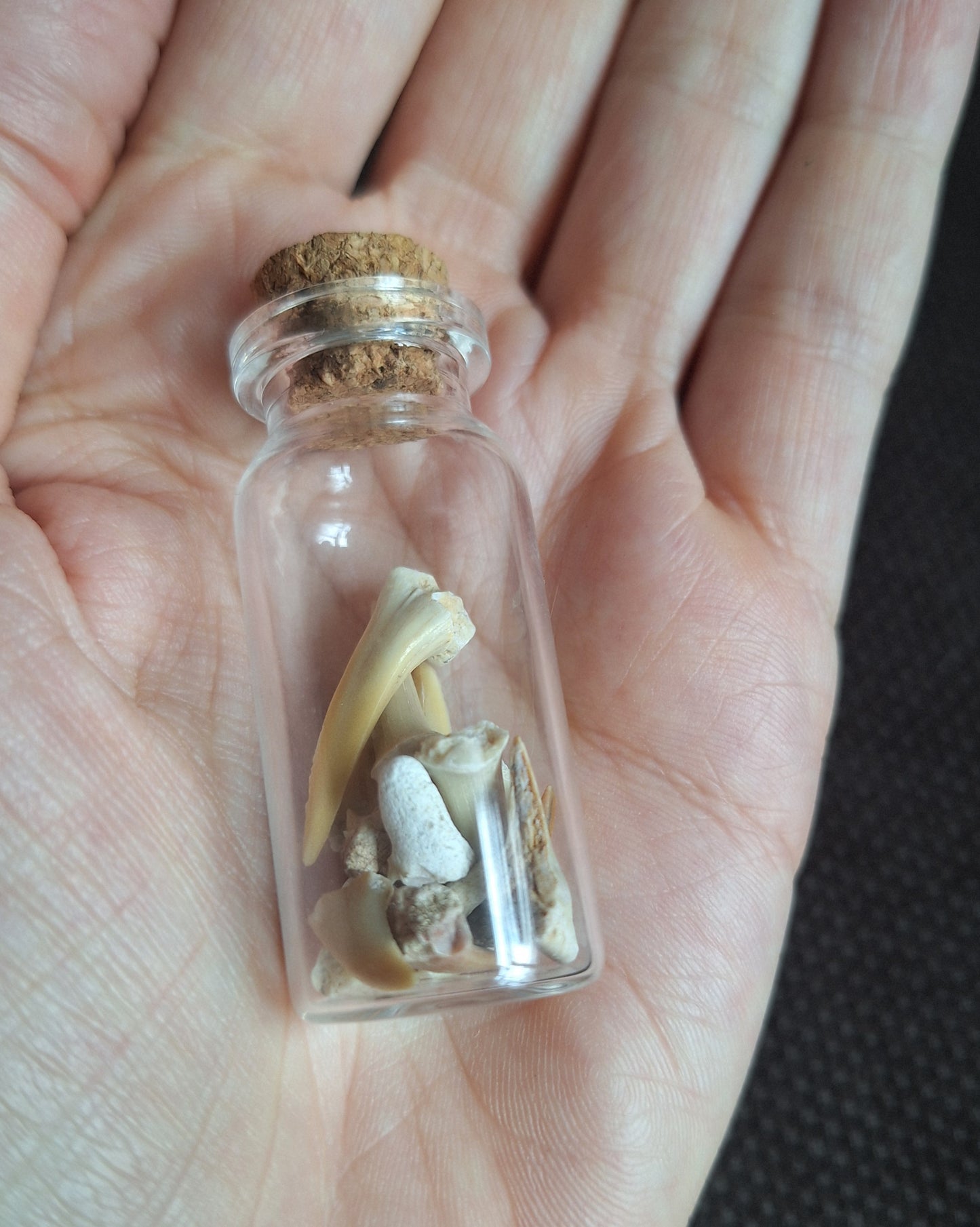 Shark teeth bottle