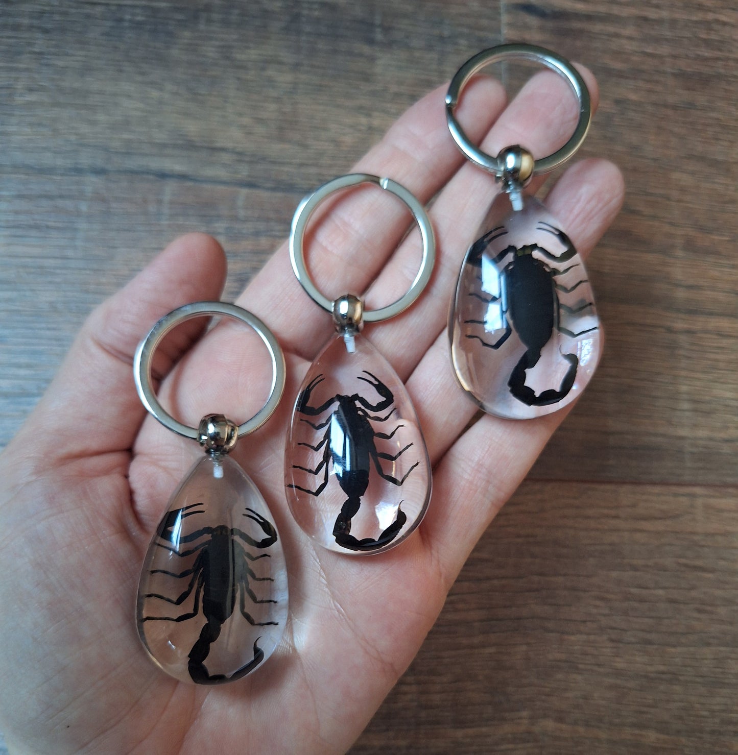 Scorpion in resin keychain