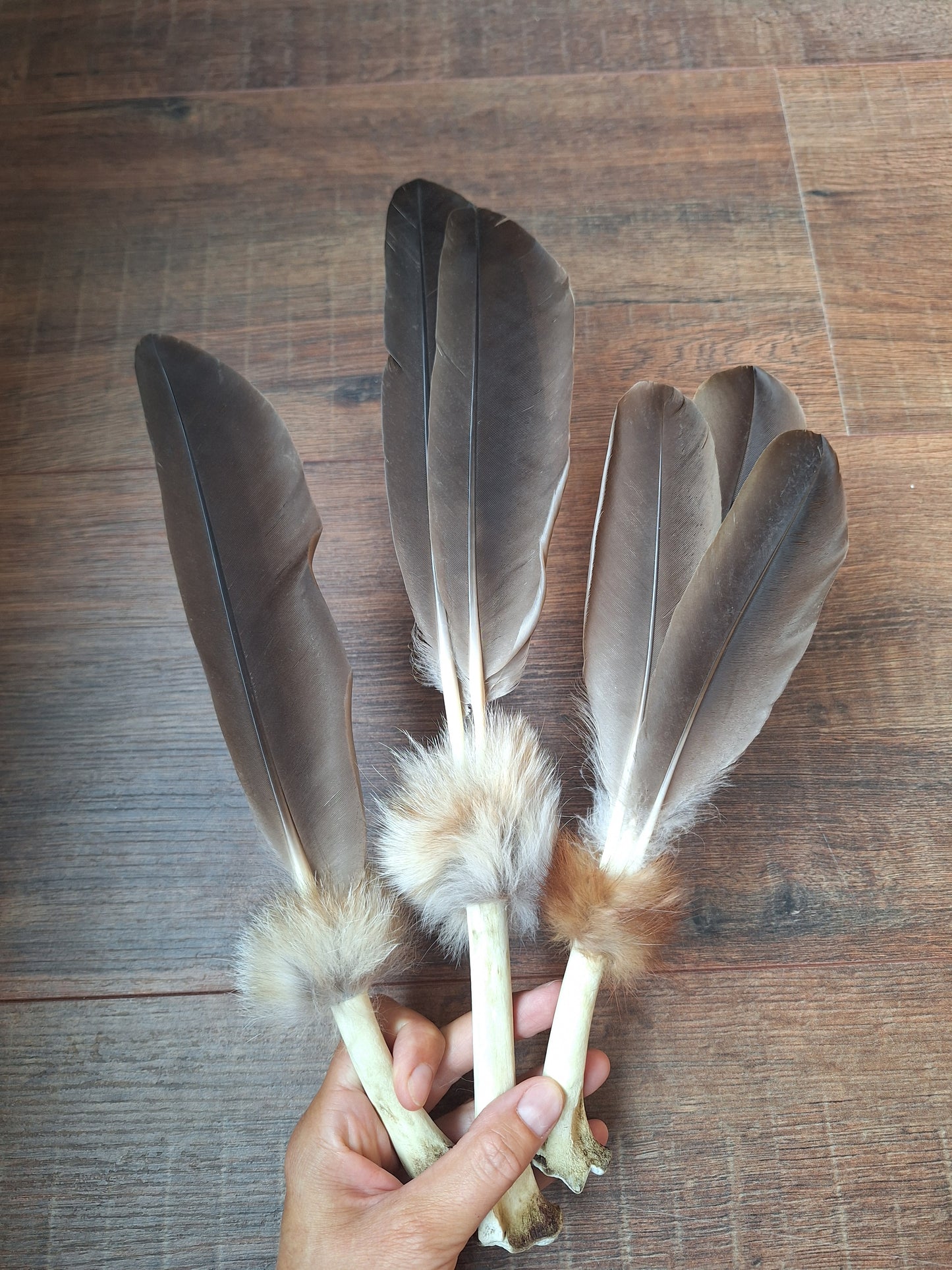 Bone feather fan Goose