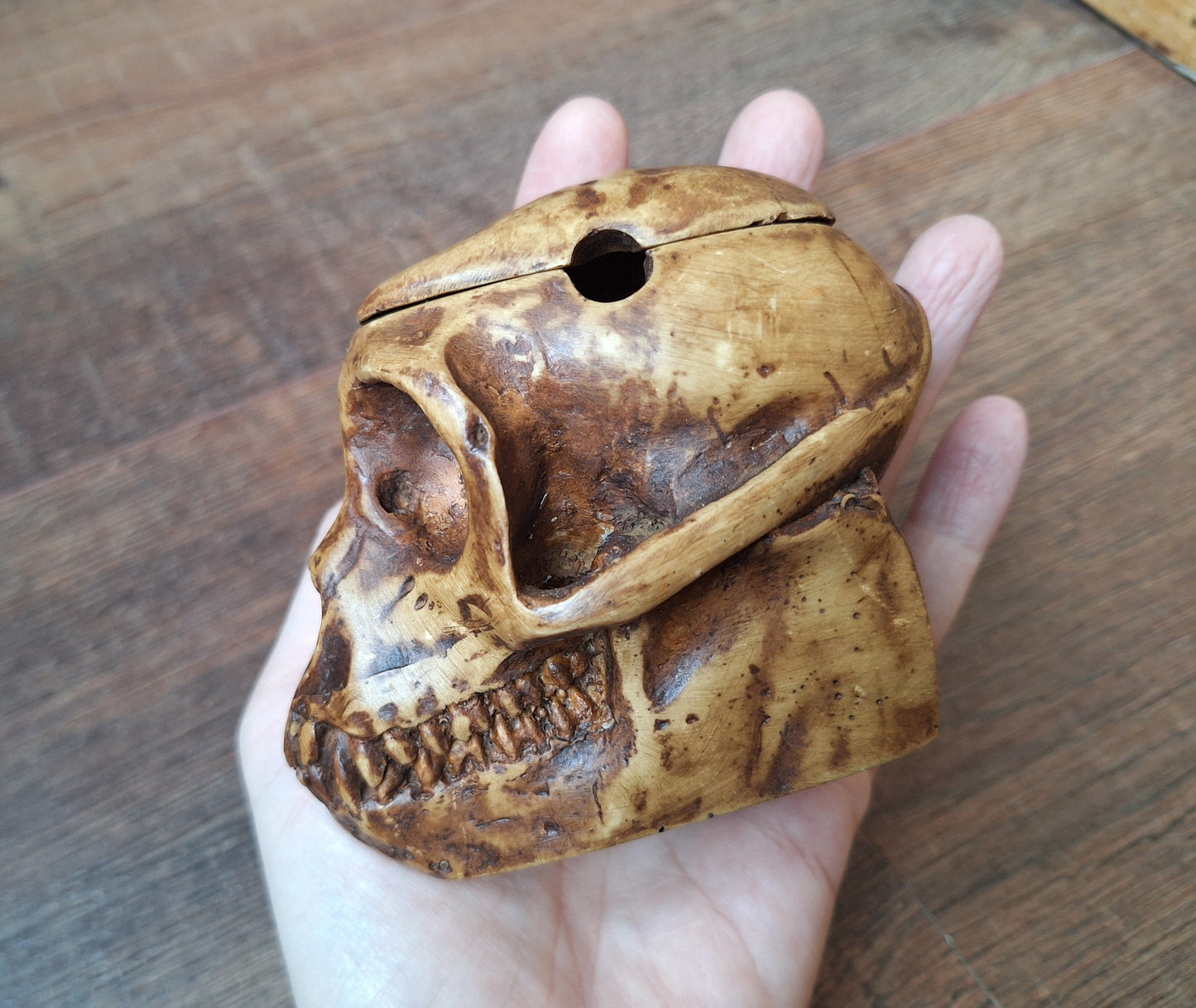 Resin monkey skull kapala
