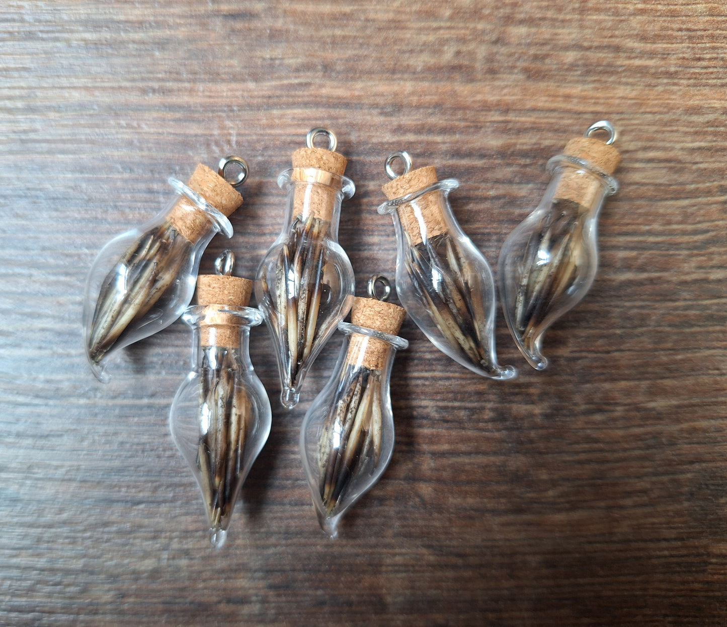 Mini bottle hedgehog spikes