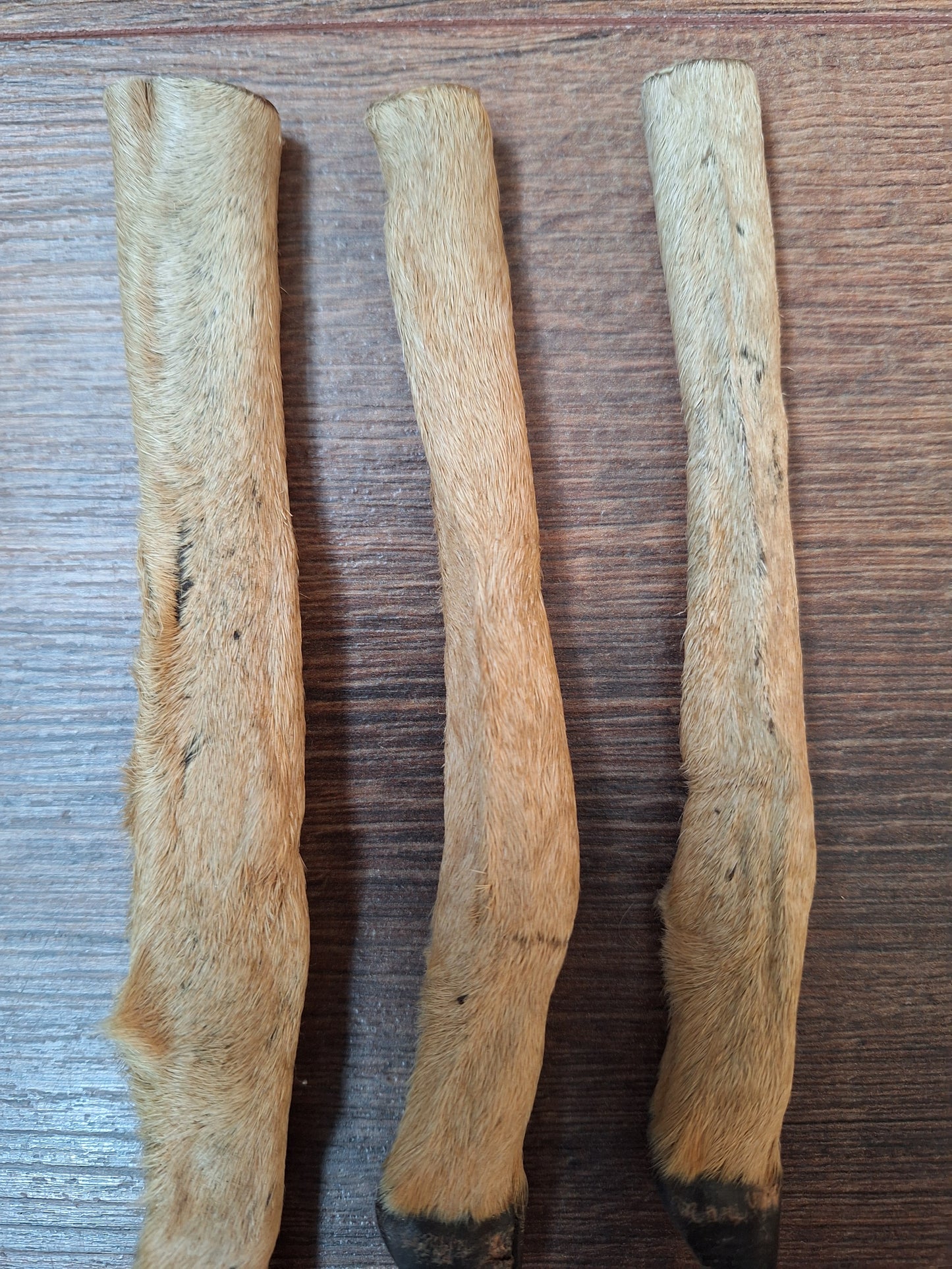 Vintage roe deer lower legs