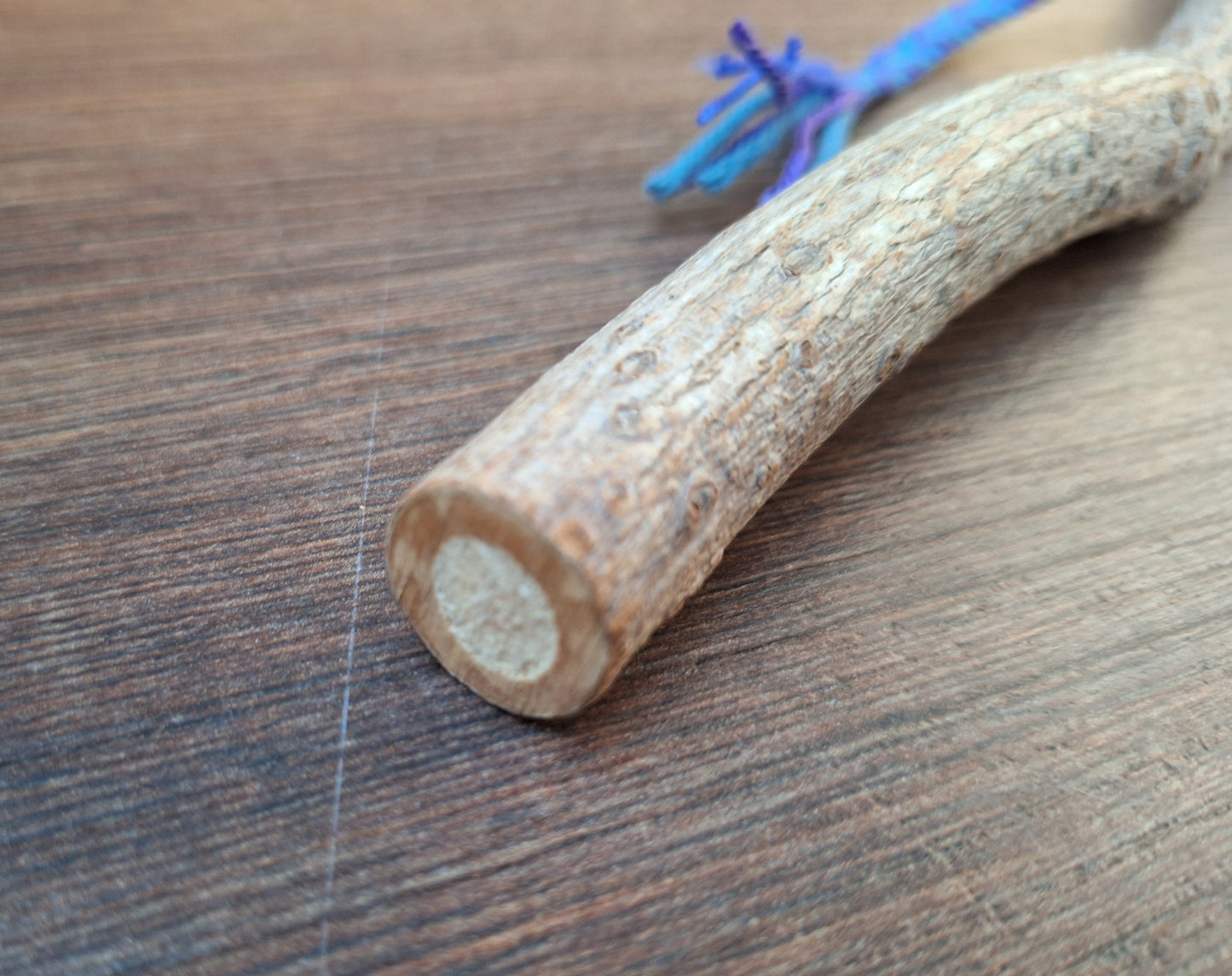 Horse hide and elder wood rattle