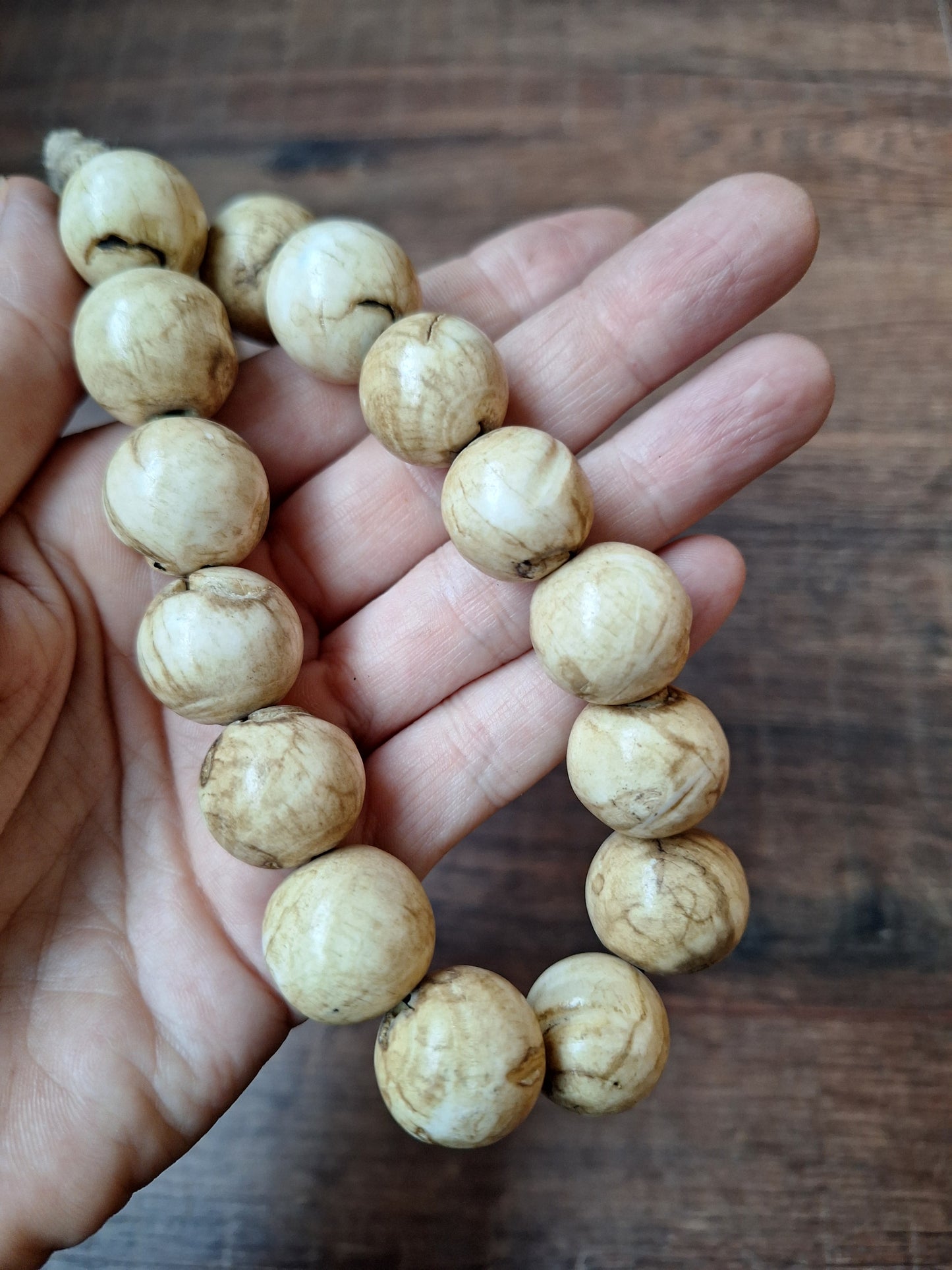 Old Nepalese conch shell necklace