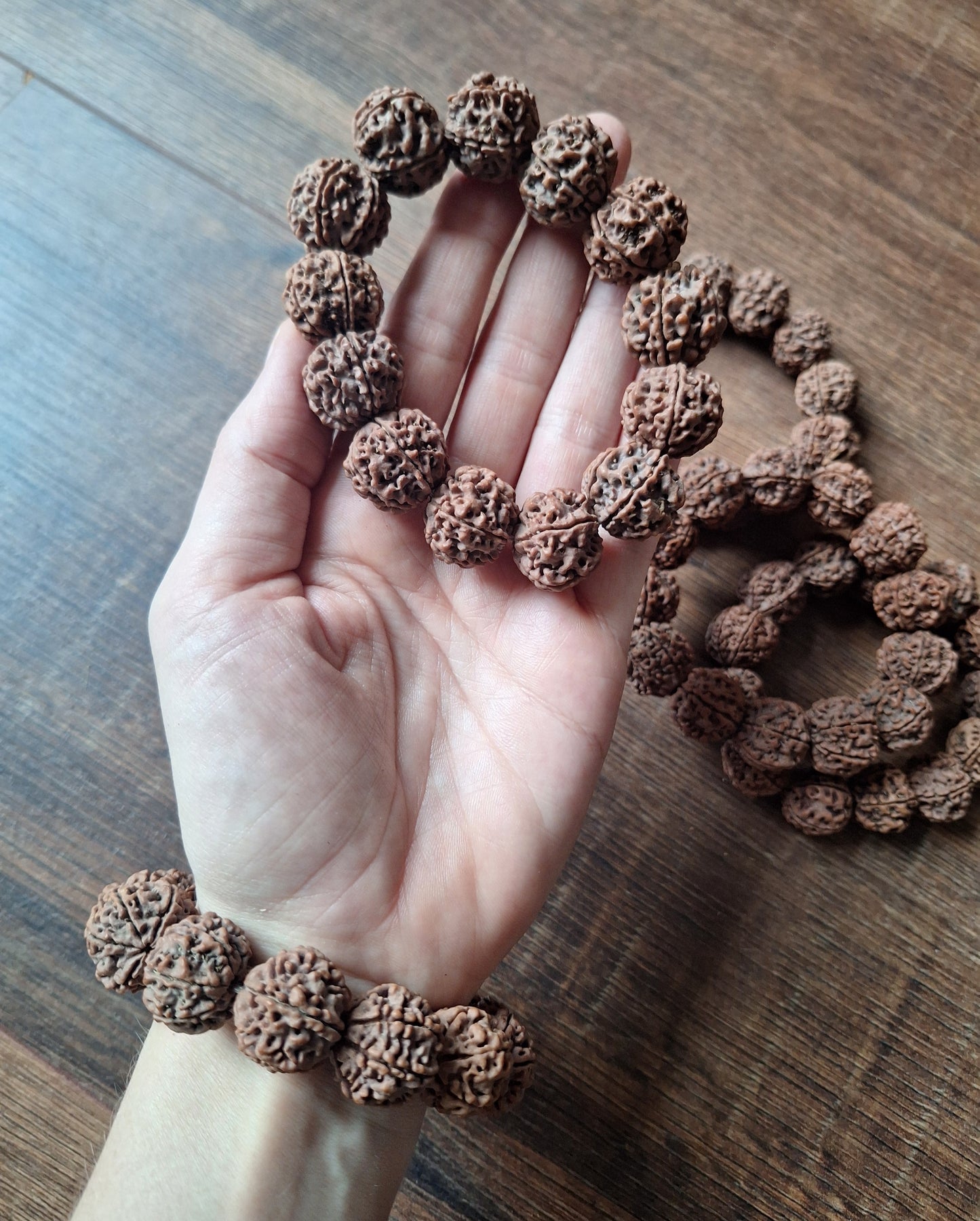 Rudraksha bracelets 6 mukhi