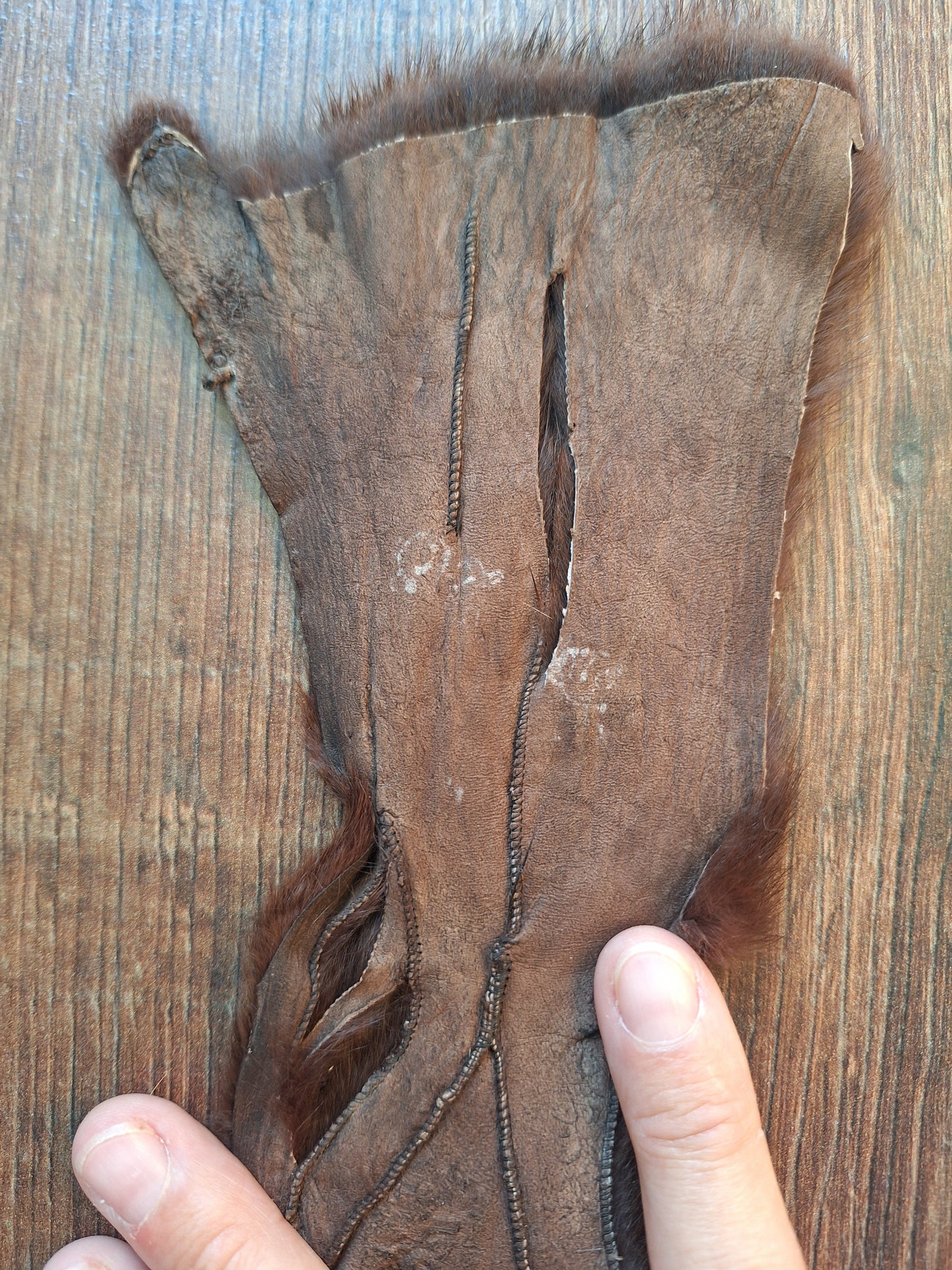 Squirrel hide #4, B-quality