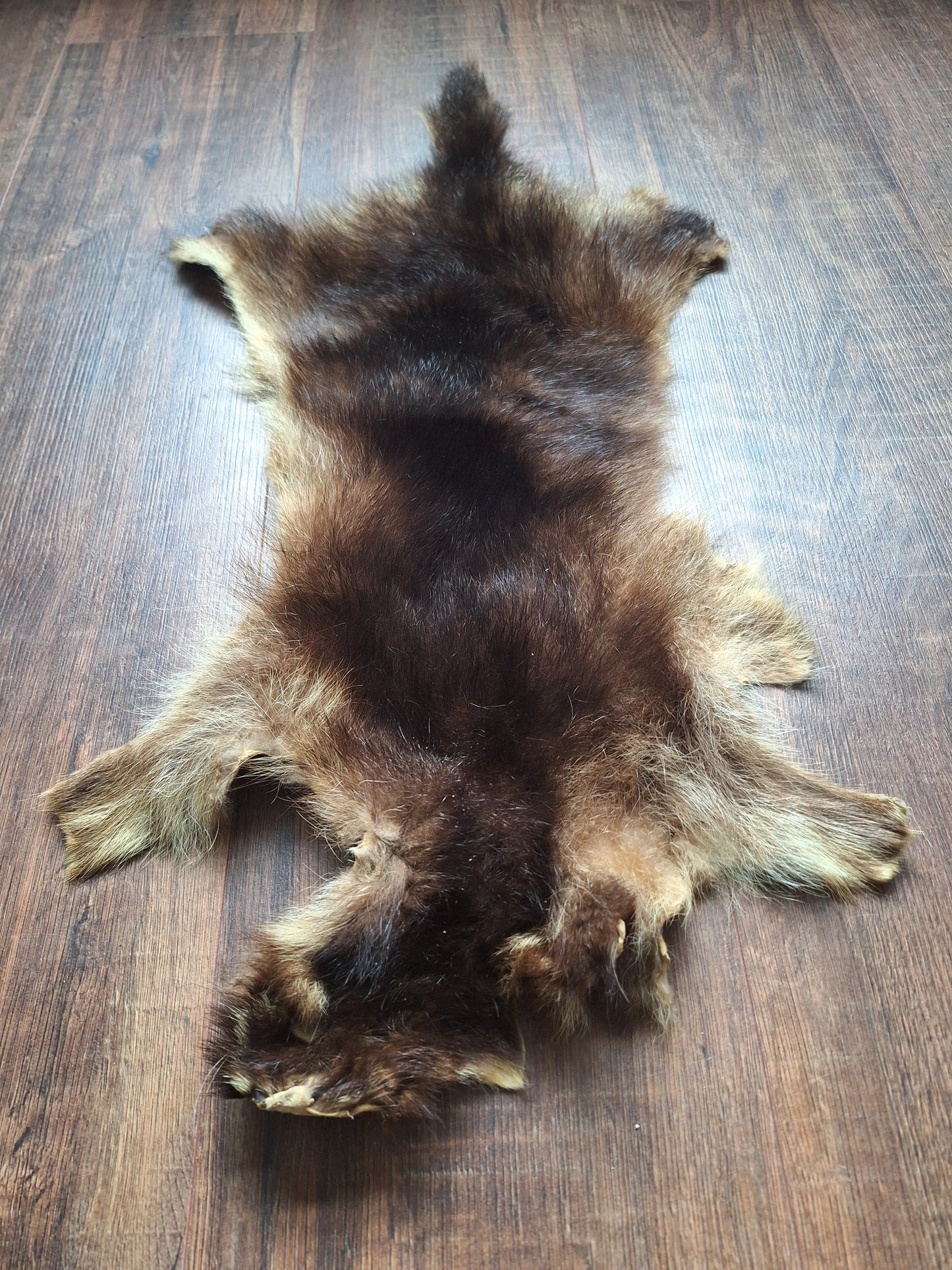 Raccoon dog hide, B-quality