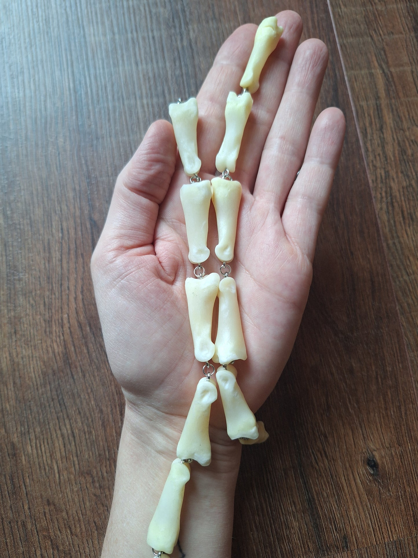 Roe deer foot bones amulet necklace
