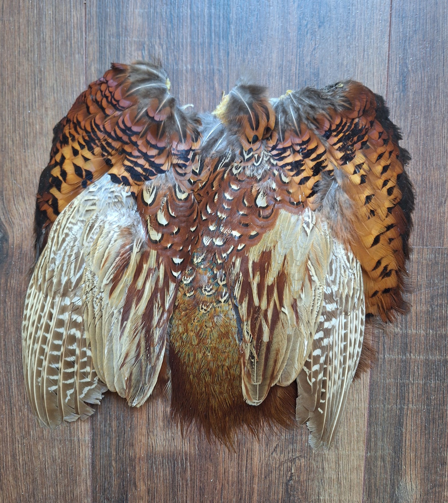 Pheasant skin