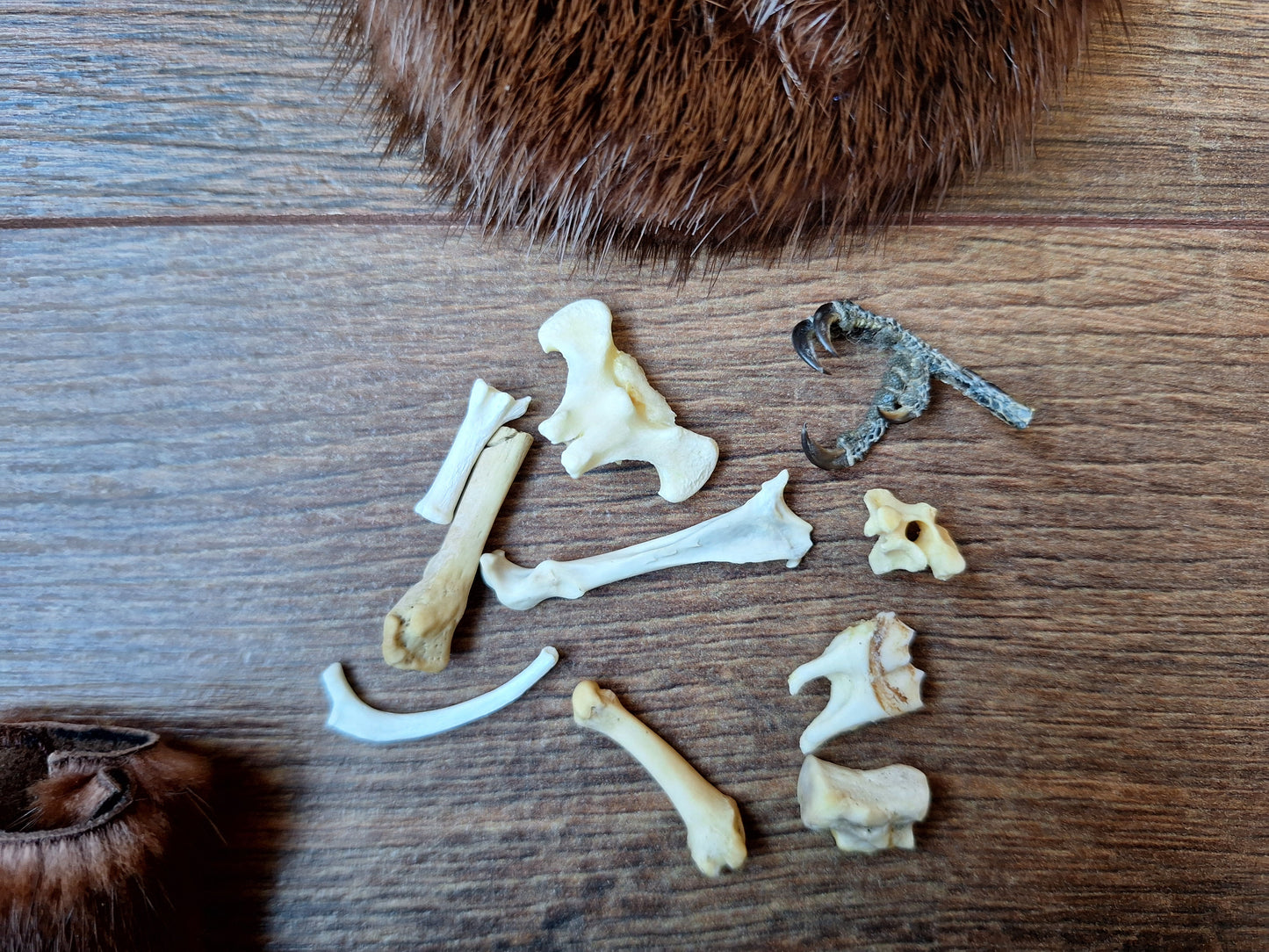 Witch oracle starter set, small